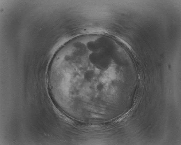 X0000062621471200601111021