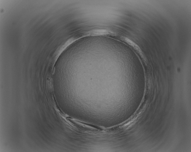 X0000062621473200601111021