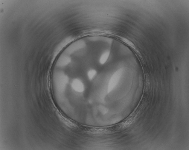 X0000062621474200601111021