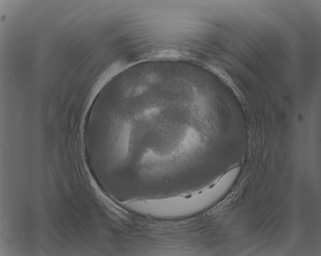 X0000062621475200601111021