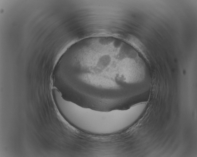 X0000062621476200601111021