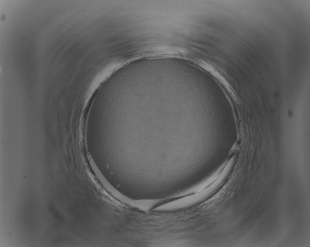 X0000062621477200601111021