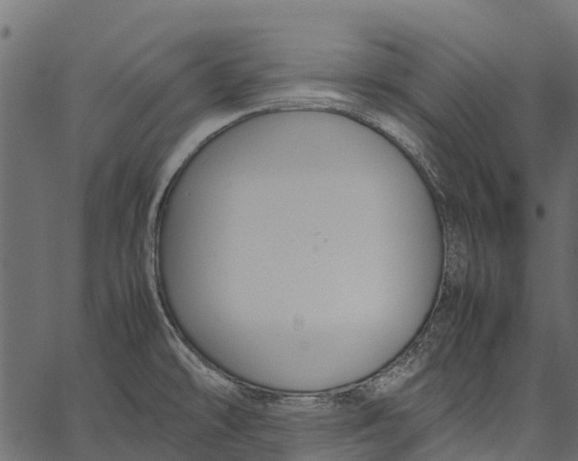 X0000062621478200601111021