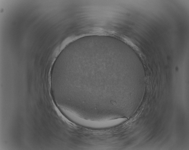 X0000062621479200601111021