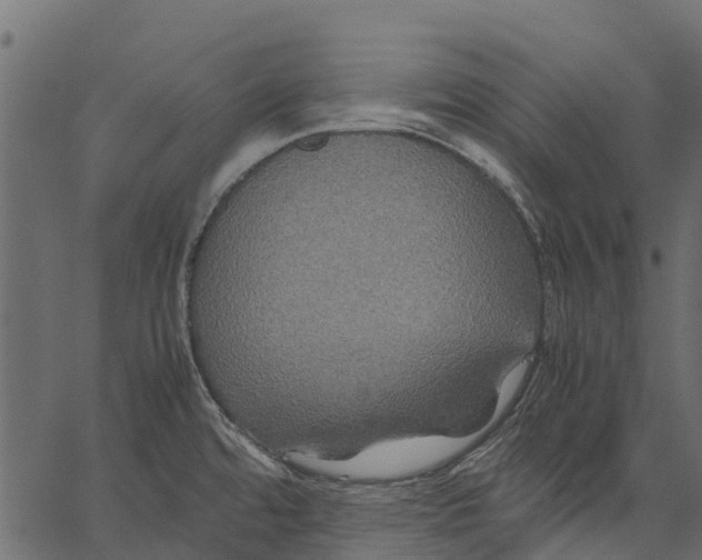 X0000062621480200601111021