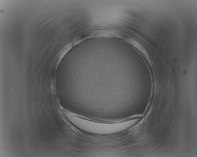 X0000062621481200601111021