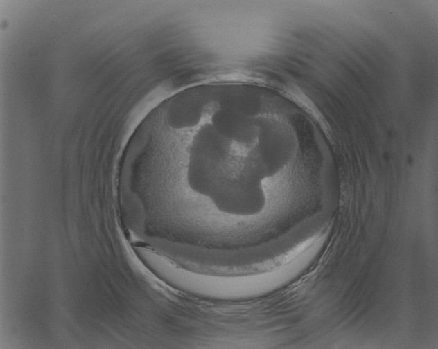 X0000062621483200601111021