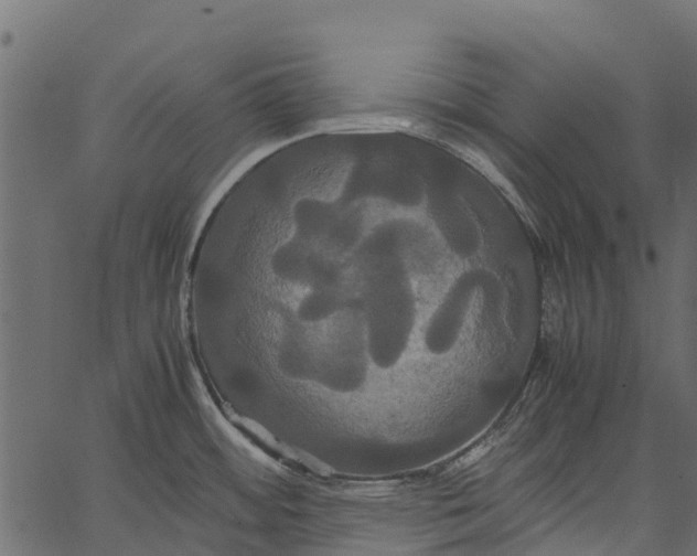 X0000062621484200601111021