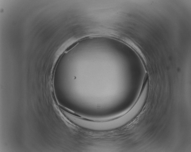 X0000062621485200601111021