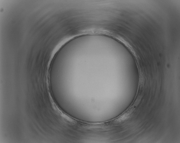 X0000062621486200601111021