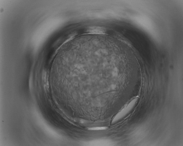 X0000062621487200601111021