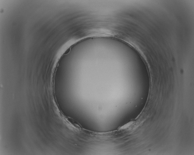 X0000062621488200601111021