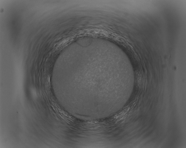 X0000062621489200601111020