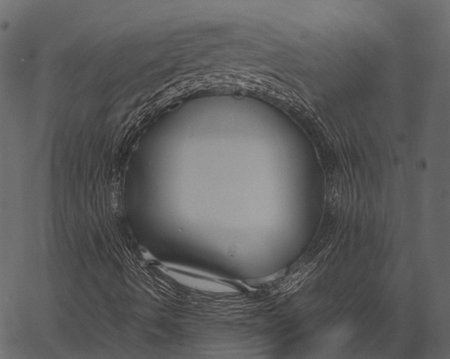 X0000062621490200601111020