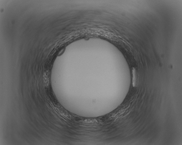 X0000062621491200601111020