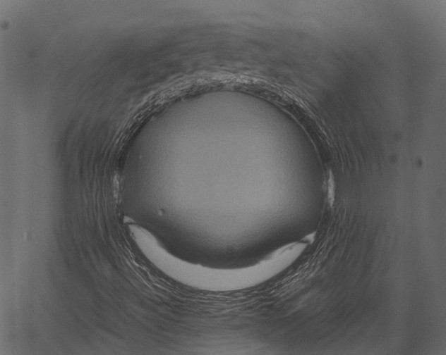 X0000062621492200601111020