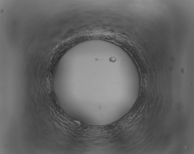 X0000062621493200601111020