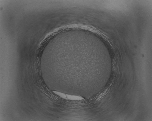 X0000062621494200601111020