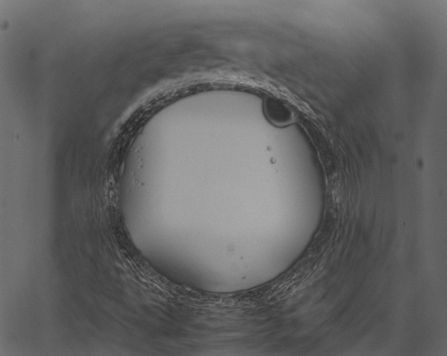 X0000062621495200601111020