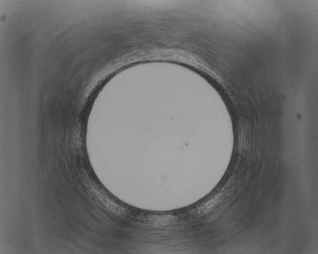 X0000062621498200601111020