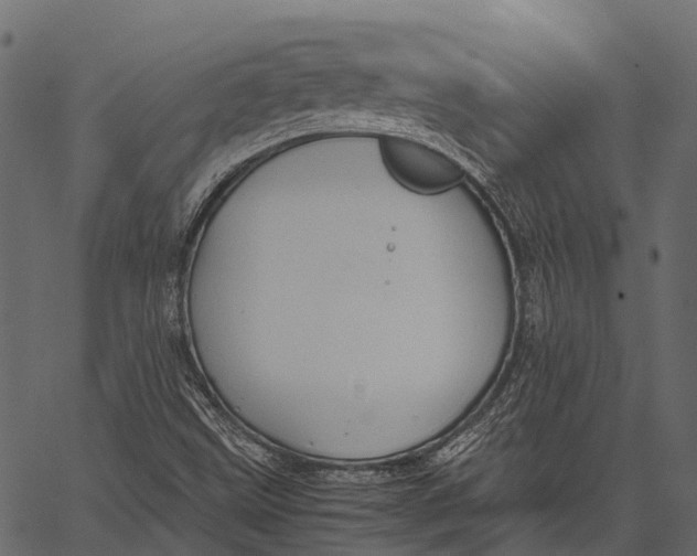 X0000062621499200601111020