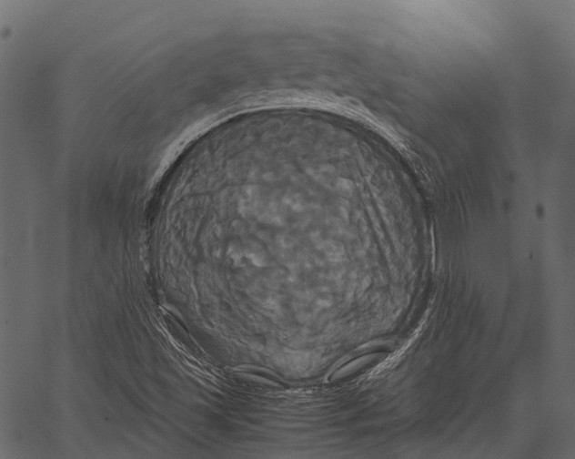 X0000062621501200601111020