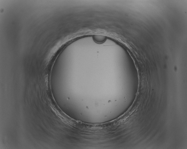 X0000062621503200601111021