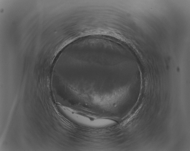 X0000062621505200601111021