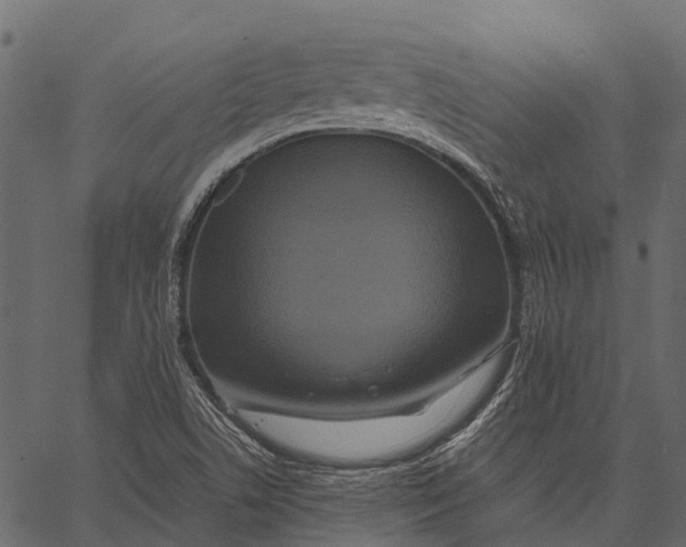 X0000062621506200601111021