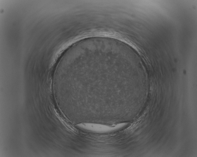 X0000062621507200601111021