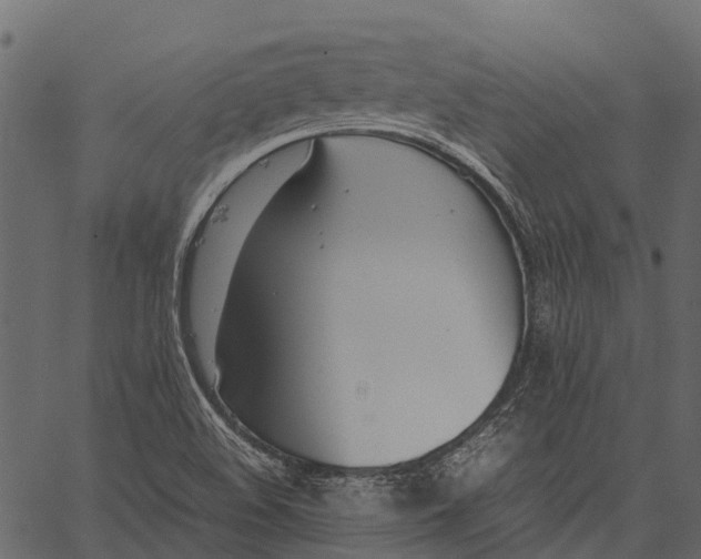 X0000062621508200601111021