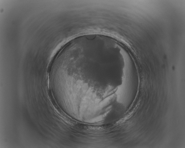 X0000062621509200601111021