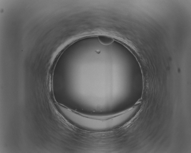 X0000062621510200601111021