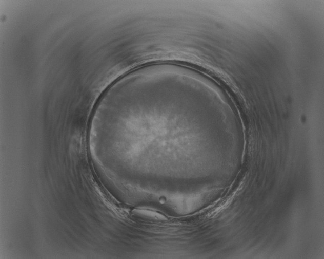 X0000062621513200601111021