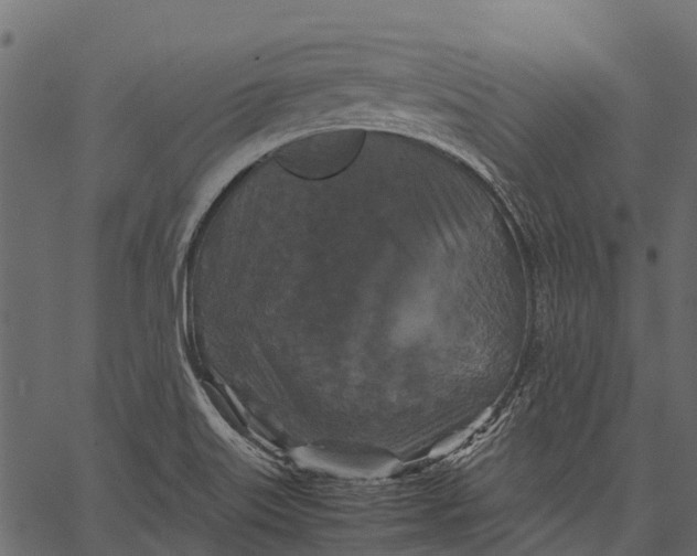 X0000062621515200601111021