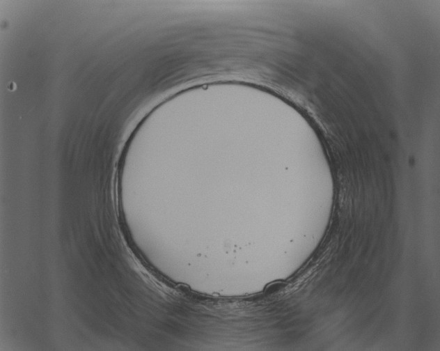 X0000062621516200601111021