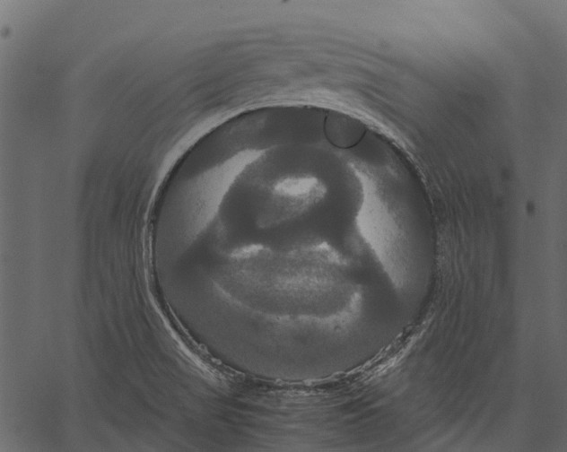 X0000062621517200601111021