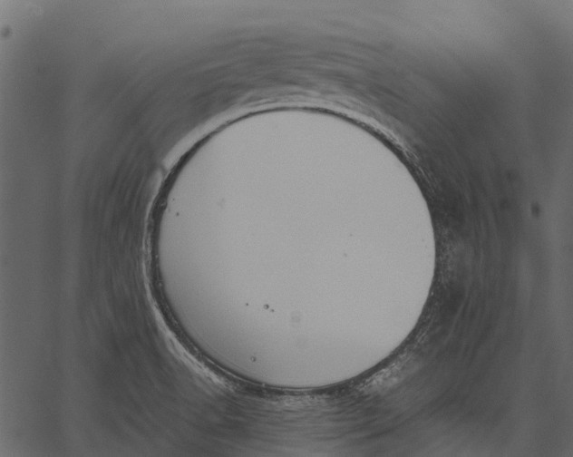 X0000062621518200601111021