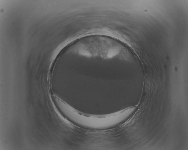 X0000062621519200601111021