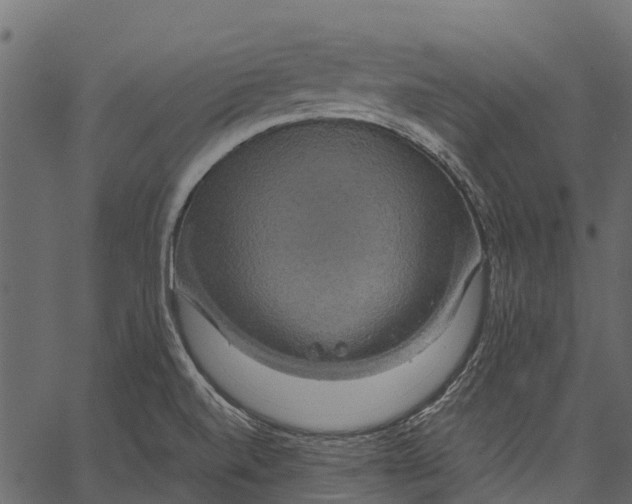 X0000062621520200601111021