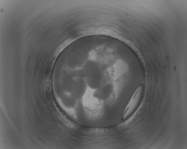 X0000062621521200601111021