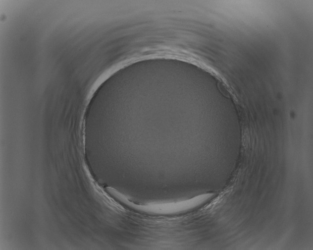 X0000062621522200601111021