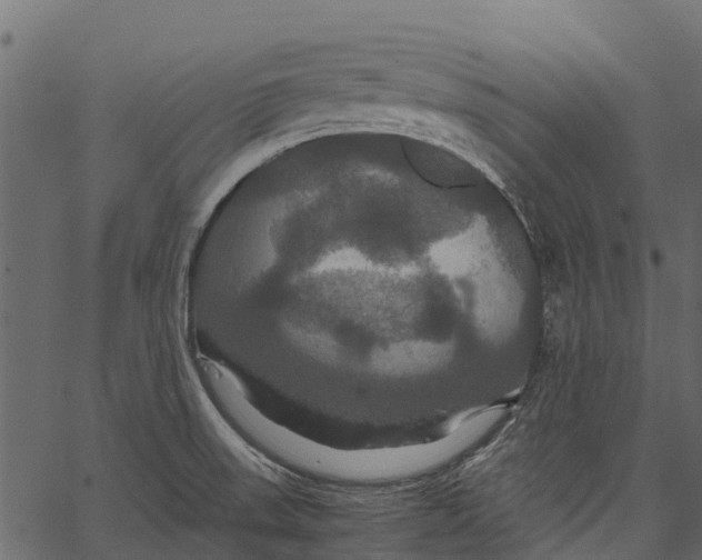 X0000062621523200601111021