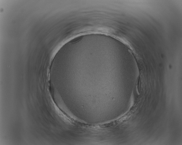 X0000062621524200601111021