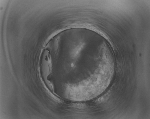 X0000062621525200601111021