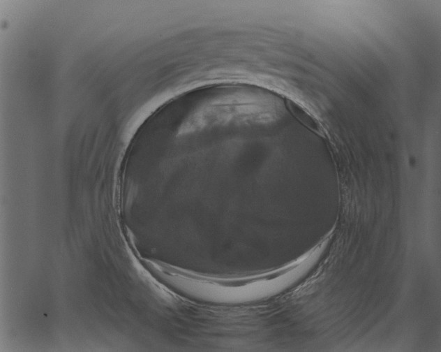 X0000062621527200601111021