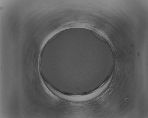 X0000062621528200601111021