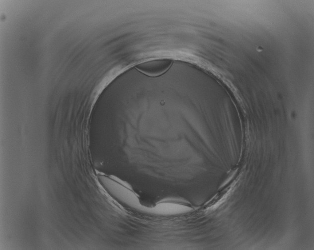 X0000062621529200601111021