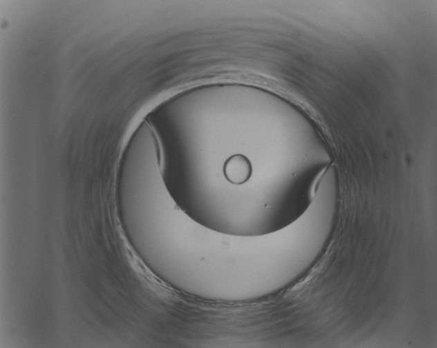 X0000062621530200601111021