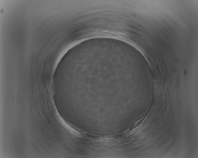 X0000062621531200601111021